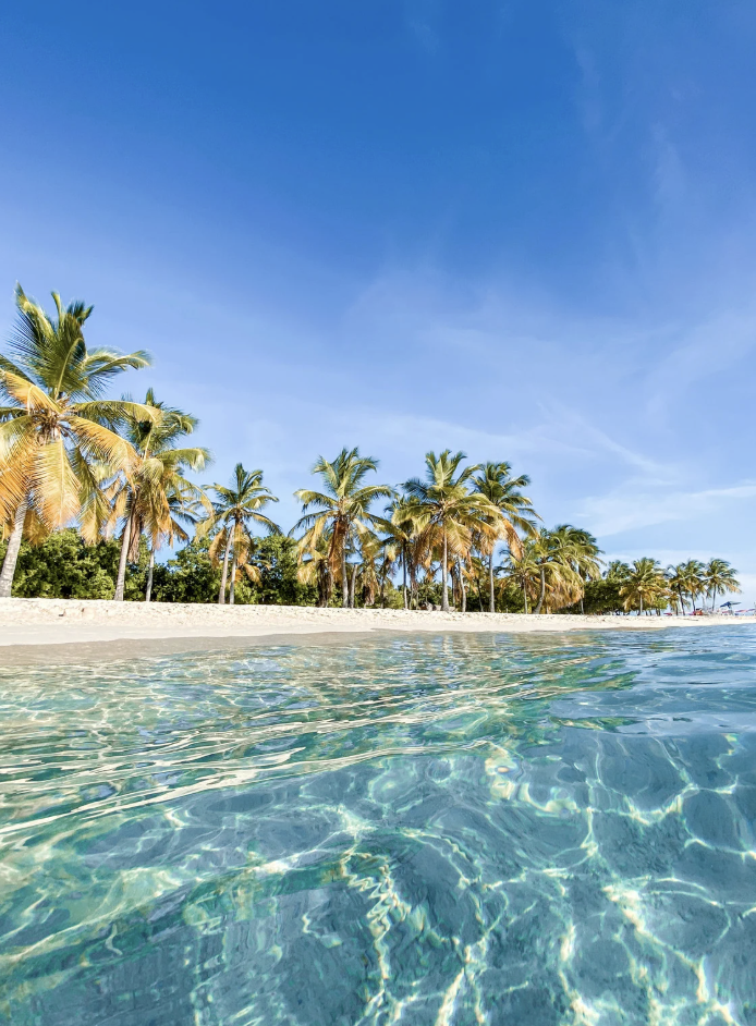 Guilt-free wellness vacation in the caribbean with peaceful views